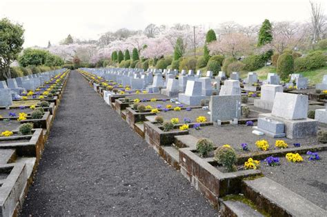 墓 植物|お墓の樹木選びのポイントと注意点｜墓地を美しく彩るために必 